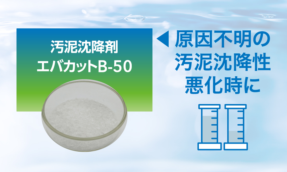 エバカットシリーズ